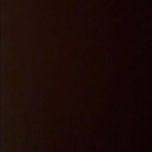 Meet your Posher, Delaney